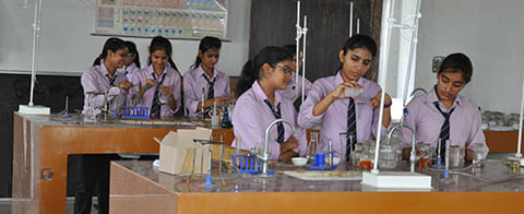 Mehta Girls College